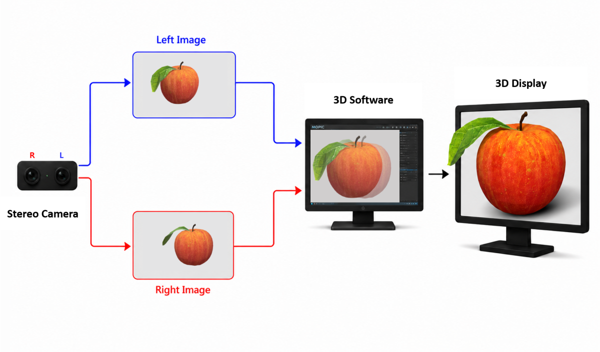 a2c147d3c34e0295575ac3b90819cbe3_1781071479_0184.png