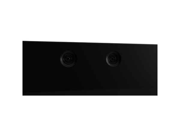 Lhotse 65” Light Field 3D Display
